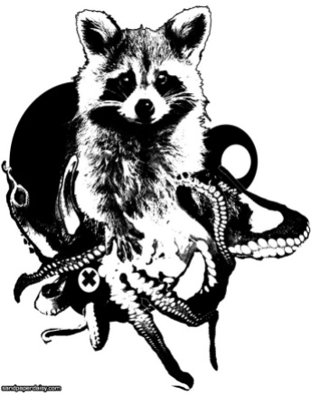 tentacle raccoon photocollage